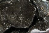 Septarian Dragon Egg Geode - Black Crystals #98881-1